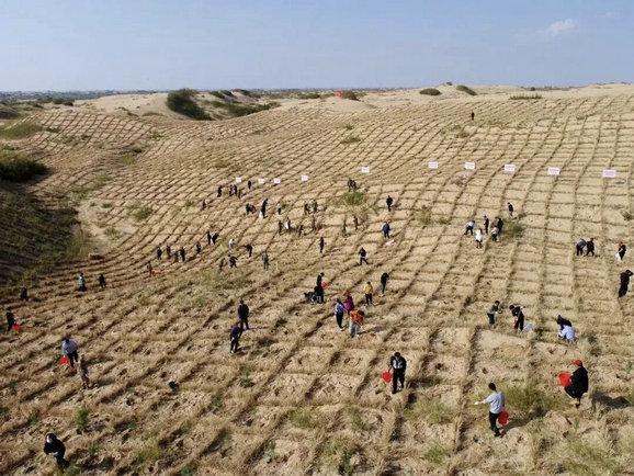 三羊财务 内蒙古14岁农村少年拿下德国纽伦堡国际发明展金奖